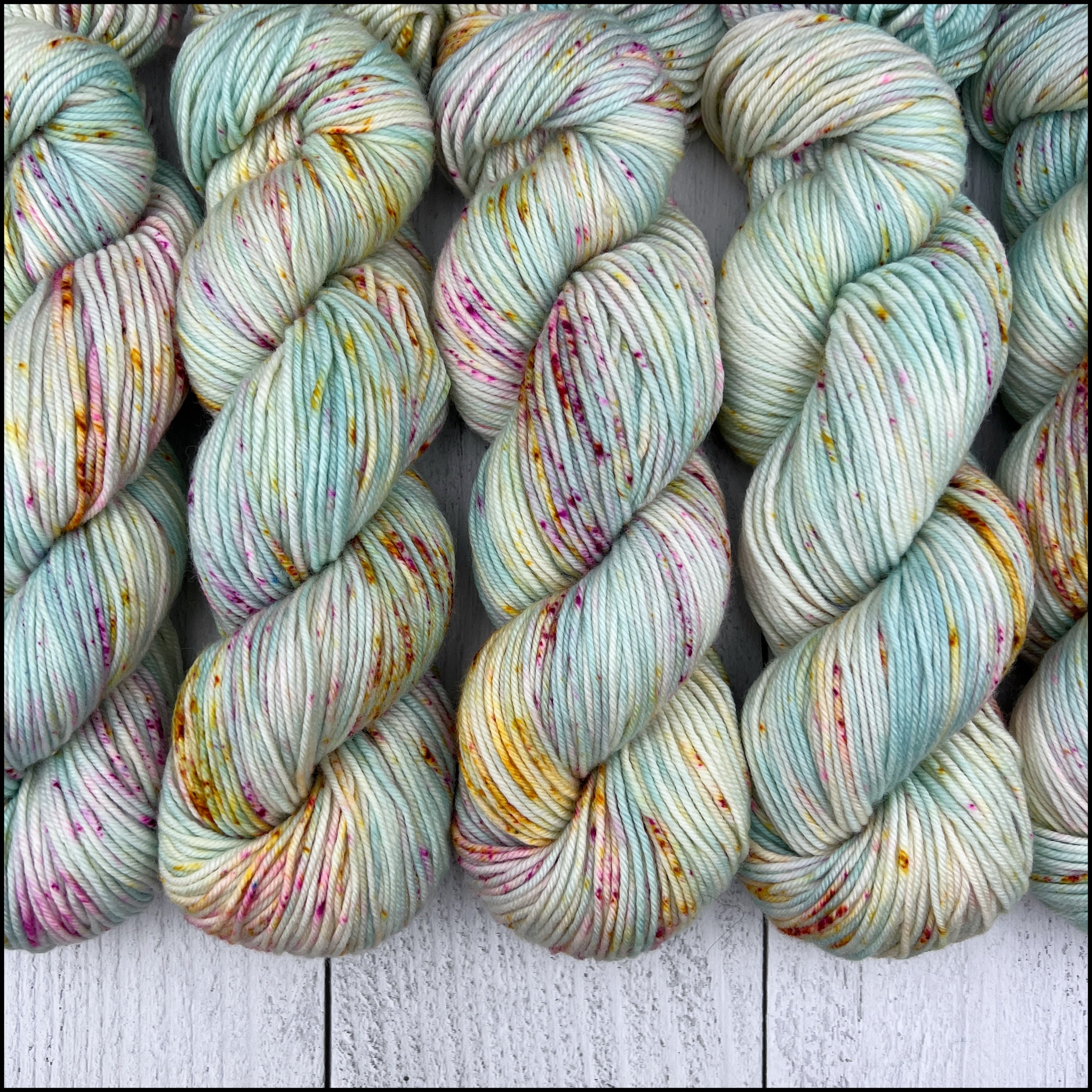 Dresden DK - 'The Struggle is Real' - Speckle Dyed - Into the Whirled Yarn  & Fiber Co.